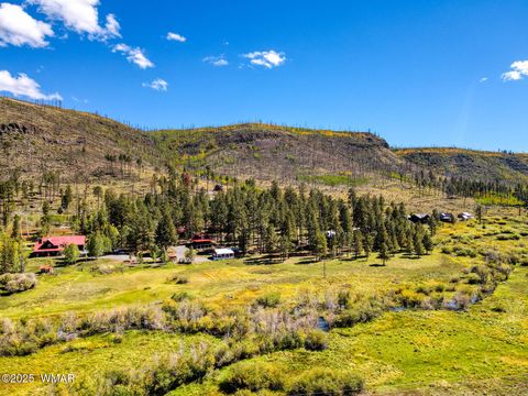 Tiny photo for 44 N Main Street, Greer, AZ 85927 (MLS # 258198)