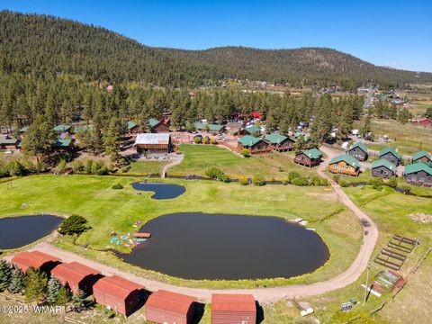 Tiny photo for 44 N Main Street, Greer, AZ 85927 (MLS # 258198)