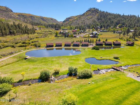 Tiny photo for 44 N Main Street, Greer, AZ 85927 (MLS # 258198)