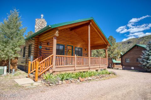 Tiny photo for 44 N Main Street, Greer, AZ 85927 (MLS # 258198)