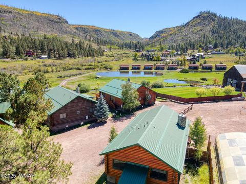 Tiny photo for 44 N Main Street, Greer, AZ 85927 (MLS # 258198)