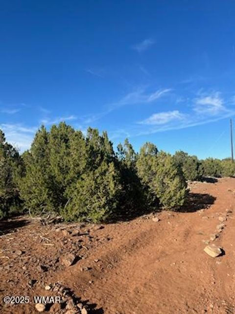 Photo of 8754 Clark Road, Show Low, AZ 85901 (MLS # 256423)