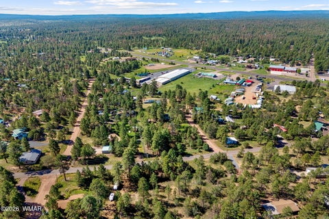 Tiny photo for 2877 Turkey Trail, Overgaard, AZ 85933 (MLS # 262783)
