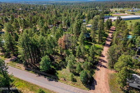 Tiny photo for 2877 Turkey Trail, Overgaard, AZ 85933 (MLS # 262783)
