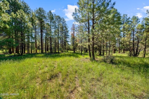 Tiny photo for 2877 Turkey Trail, Overgaard, AZ 85933 (MLS # 262783)