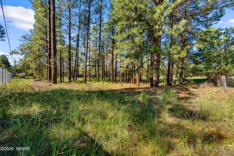 Tiny photo for 2877 Turkey Trail, Overgaard, AZ 85933 (MLS # 262783)