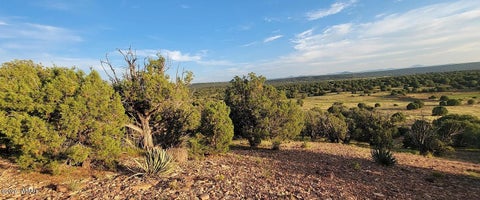 Tiny photo for 9 County Road 3036, Concho, AZ 85924 (MLS # 262147)