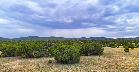 Tiny photo for 9 County Road 3036, Concho, AZ 85924 (MLS # 262147)