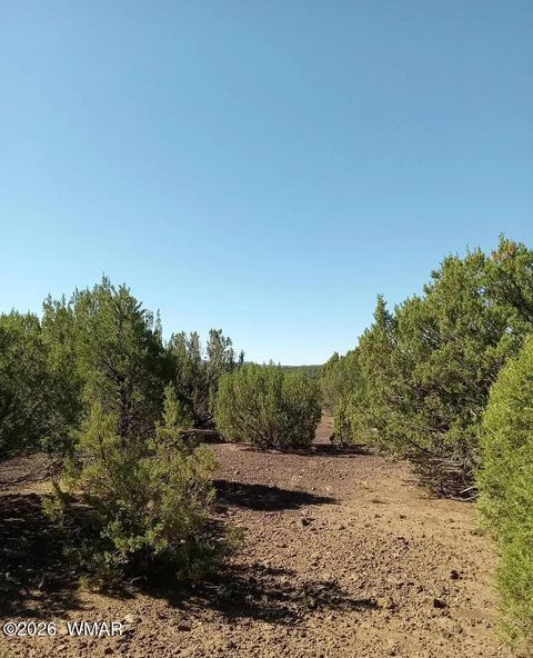 Photo of 0 Vernon, Vernon, AZ 85940 (MLS # 262147)