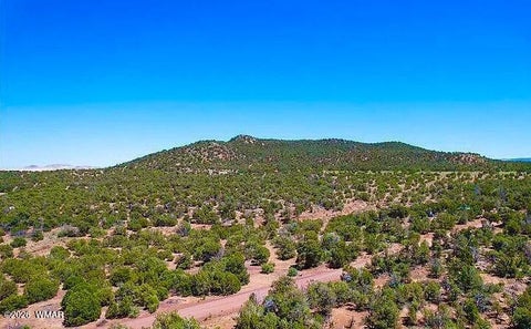 Tiny photo for 9 County Road 3036, Concho, AZ 85924 (MLS # 262147)
