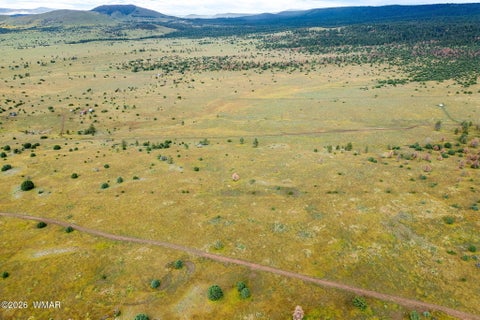 Tiny photo for TBD County Rd N1334, Greer, AZ 85927 (MLS # 263319)