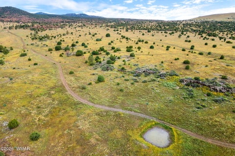 Tiny photo for TBD County Rd N1334, Greer, AZ 85927 (MLS # 263319)
