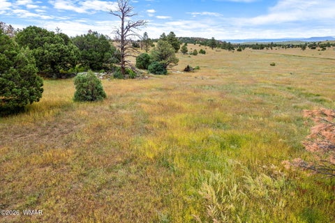 Tiny photo for TBD County Rd N1334, Greer, AZ 85927 (MLS # 263319)
