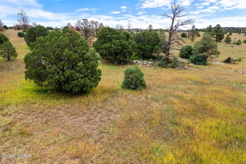 Tiny photo for TBD County Rd N1334, Greer, AZ 85927 (MLS # 263319)