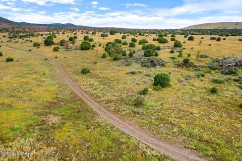 Tiny photo for TBD County Rd N1334, Greer, AZ 85927 (MLS # 263319)