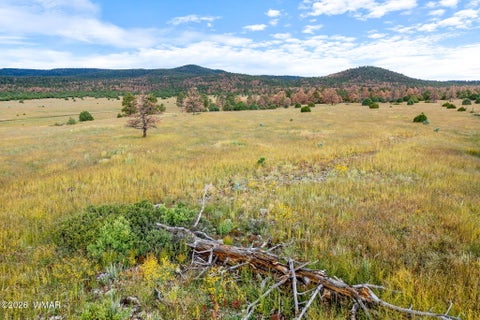 Tiny photo for TBD County Rd N1334, Greer, AZ 85927 (MLS # 263319)