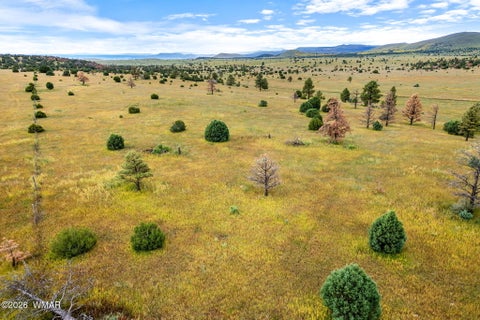 Tiny photo for TBD County Rd N1334, Greer, AZ 85927 (MLS # 263319)