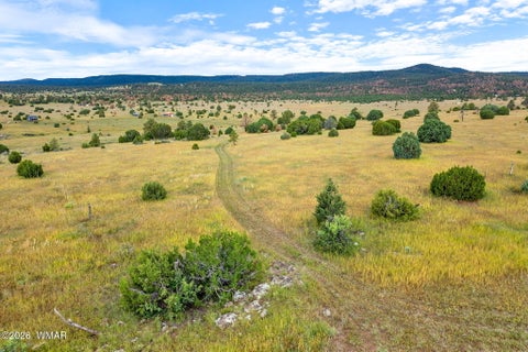 Tiny photo for TBD County Rd N1334, Greer, AZ 85927 (MLS # 263319)