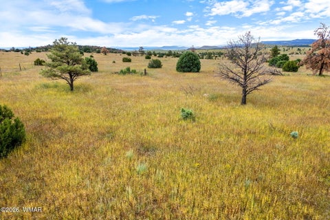 Tiny photo for TBD County Rd N1334, Greer, AZ 85927 (MLS # 263319)