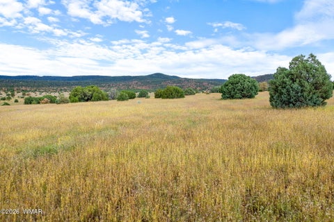 Tiny photo for TBD County Rd N1334, Greer, AZ 85927 (MLS # 263319)