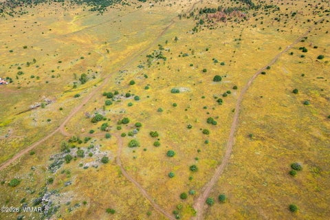 Tiny photo for TBD County Rd N1334, Greer, AZ 85927 (MLS # 263319)