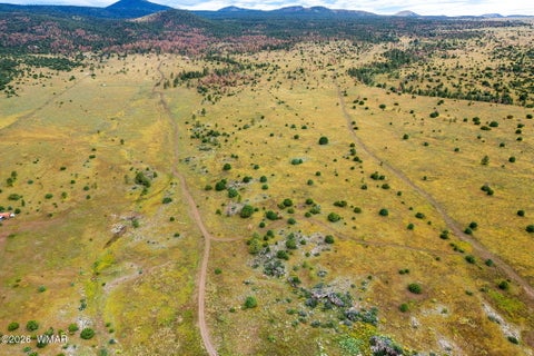 Tiny photo for TBD County Rd N1334, Greer, AZ 85927 (MLS # 263319)