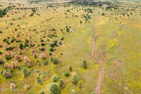 Tiny photo for TBD County Rd N1334, Greer, AZ 85927 (MLS # 263319)