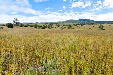 Tiny photo for TBD County Rd N1334, Greer, AZ 85927 (MLS # 263319)