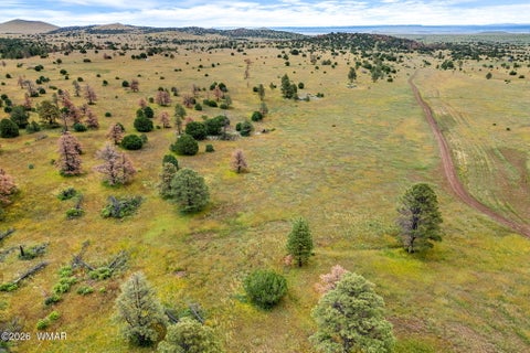 Tiny photo for TBD County Rd N1334, Greer, AZ 85927 (MLS # 263319)