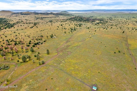 Tiny photo for TBD County Rd N1334, Greer, AZ 85927 (MLS # 263319)