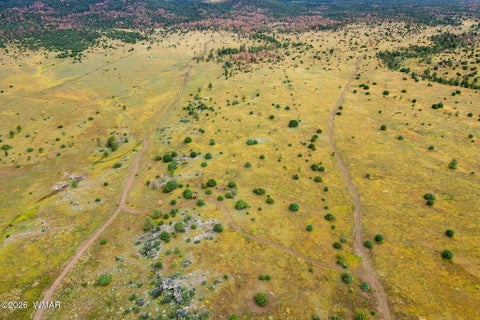 Tiny photo for TBD County Rd N1334, Greer, AZ 85927 (MLS # 263319)