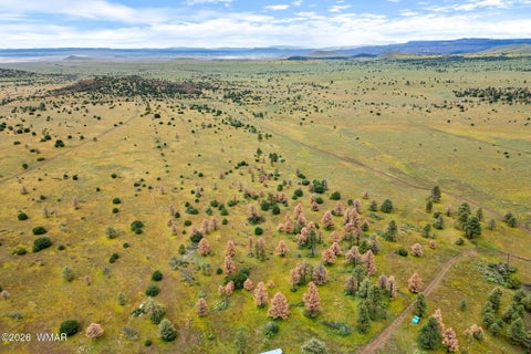 Tiny photo for TBD County Rd N1334, Greer, AZ 85927 (MLS # 263319)