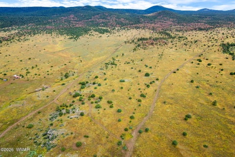 Tiny photo for TBD County Rd N1334, Greer, AZ 85927 (MLS # 263319)