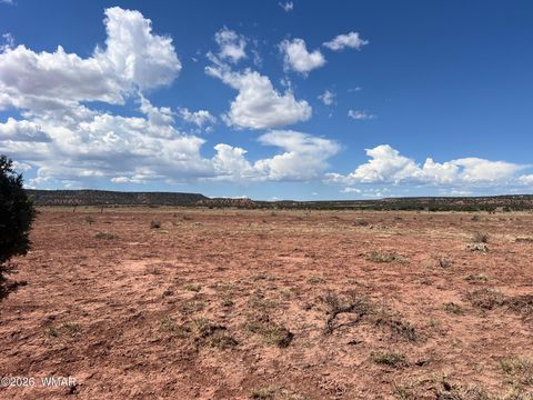 Tiny photo for 000 Paso Drive, Snowflake, AZ 85937 (MLS # 259115)