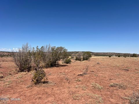 Tiny photo for 000 Paso Drive, Snowflake, AZ 85937 (MLS # 259115)