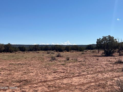 Tiny photo for 000 Paso Drive, Snowflake, AZ 85937 (MLS # 259115)
