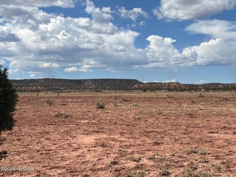 Tiny photo for 000 Paso Drive, Snowflake, AZ 85937 (MLS # 259115)