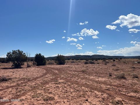 Tiny photo for 000 Paso Drive, Snowflake, AZ 85937 (MLS # 259115)