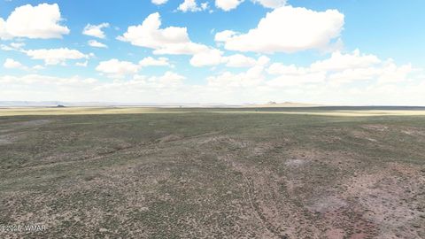 Tiny photo for 0 ARIZ RANCHO #85 Lots 005 & 024, Sun Valley, AZ 86029 (MLS # 258777)