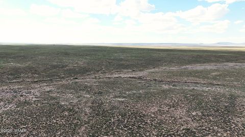 Tiny photo for 0 ARIZ RANCHO #85 Lots 005 & 024, Sun Valley, AZ 86029 (MLS # 258777)