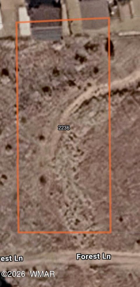 Photo of 2236 Forest Lane, Overgaard, AZ 85933 (MLS # 261038)
