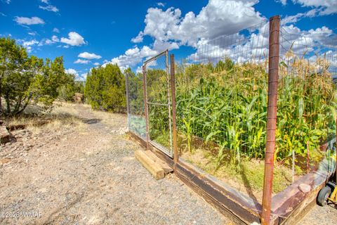 Tiny photo for 1156 Lesueur Drive, Eagar, AZ 85925 (MLS # 259303)