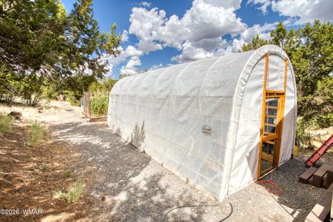 Tiny photo for 1156 Lesueur Drive, Eagar, AZ 85925 (MLS # 259303)