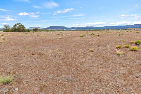 Tiny photo for TBD N Becker Lake Road, Springerville, AZ 85938 (MLS # 262602)