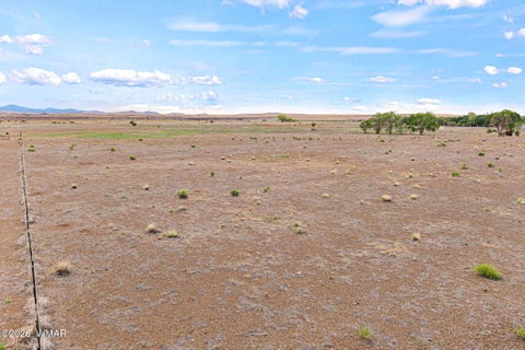 Tiny photo for TBD N Becker Lake Road, Springerville, AZ 85938 (MLS # 262602)