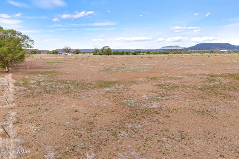 Tiny photo for TBD N Becker Lake Road, Springerville, AZ 85938 (MLS # 262602)