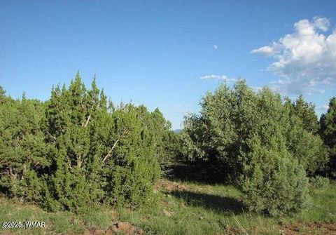 Tiny photo for Sec 29 T14N, R17E: Parcel 6, Heber, AZ 85928 (MLS # 258955)