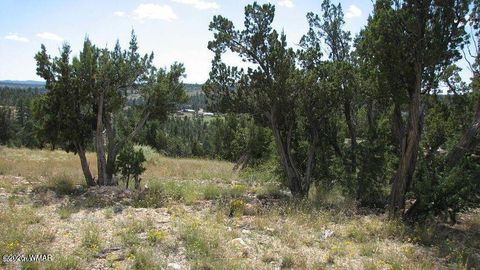 Tiny photo for Sec 29 T14N, R17E: Parcel 6, Heber, AZ 85928 (MLS # 258955)