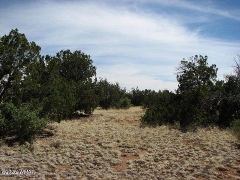 Tiny photo for Sec 29 T14N, R17E: Parcel 6, Heber, AZ 85928 (MLS # 258955)