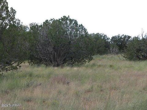 Tiny photo for Sec 29 T14N, R17E: Parcel 6, Heber, AZ 85928 (MLS # 258955)